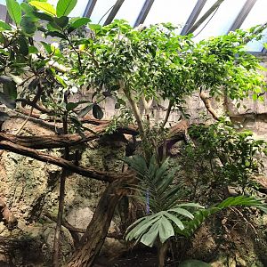 Example terrarium 270118