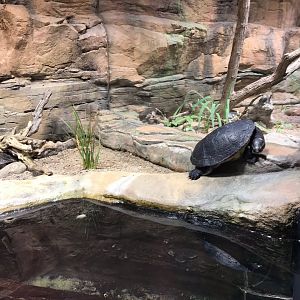 Example terrarium 270118