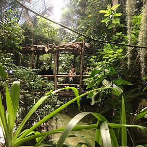 View of walkway between crocodilian exhibits 270118