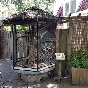 Kakariki-aviary - Former Japanese squirrel-enclosure