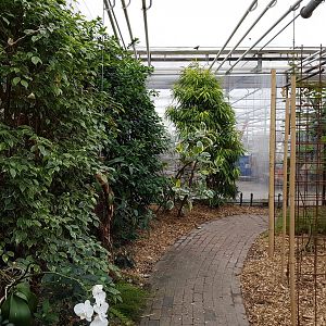 Path-way through the Hall