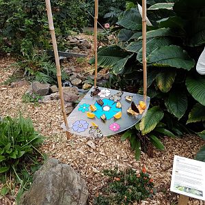 Butterfly-feeding-place