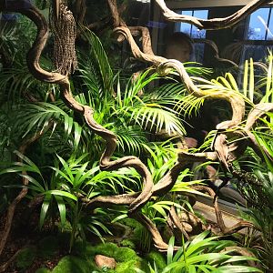 Amphibium terrarium 270118