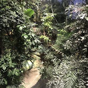 View of crocodile exhibit from top floor 270118