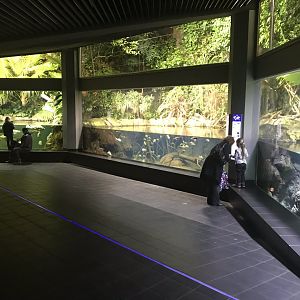 Aquarium exhibits 270118