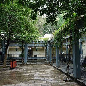 Liuzhou Zoo - Rhesus macaque exhibit