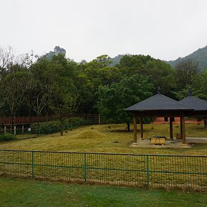 Liuzhou Zoo - kangaroo exhibit