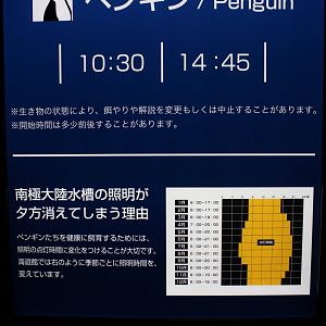 Opening light hours for penguin exhibit