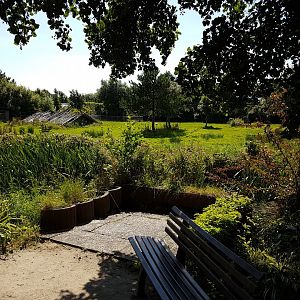 Another Swan-enclosure