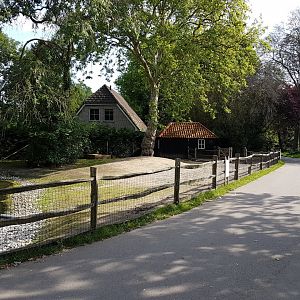 Rhea and Patagonian cavy-enclosure
