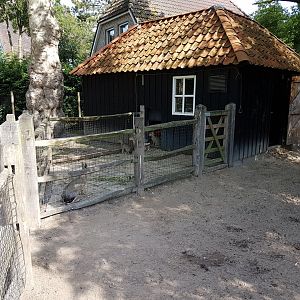 Patagonian cavy-seperation cage