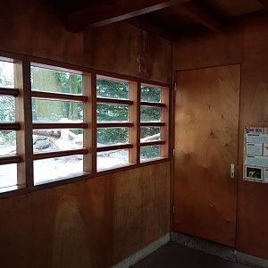 Viewing-window Red fox