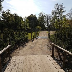 Path toward Deer-walk-through