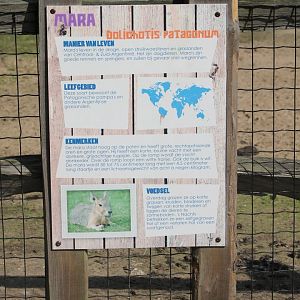 Sign Patagonian cavy