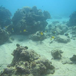 Shooting into the sun