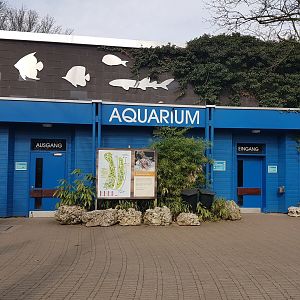 Aquarium entrance