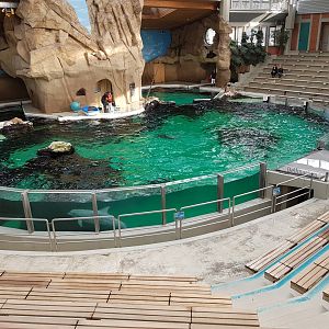 Dolphinarium interior