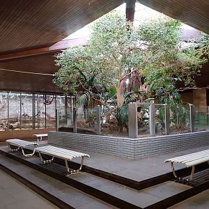 Monkey house interior free roaming sloth