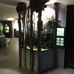 Aquarium exhibit 280118