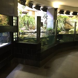 Aquarium exhibits 280118