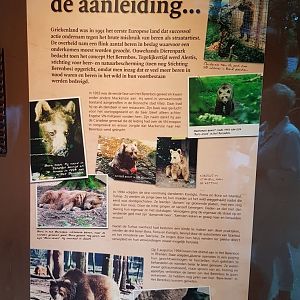 History of Bear-forest