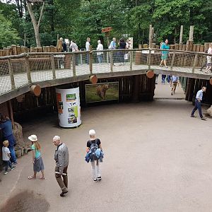 Plaza in the middle of Bear-forest
