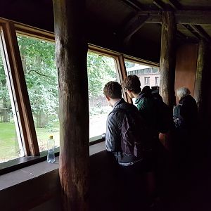 2 ZooChatters inspecting the Chimps