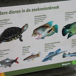 IMG_6565 Sign Manatee-enclosure - shortly after opening