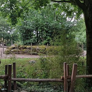Tree-island in Elephant outdoor-enclosure