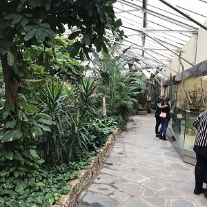 Reptile House interior 280118