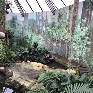 Mississippi alligator exhibit 280118