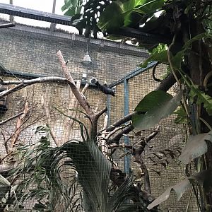 Sri Lankan giant squirrel exhibit 280118