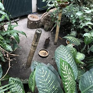 Bird House interior 280118