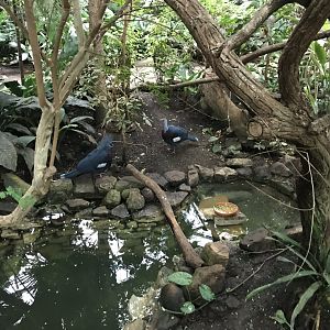 Bird House interior 280118