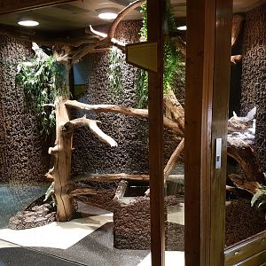 Enclosure Boa contrictor