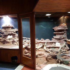 Chuckwalla-enclosure
