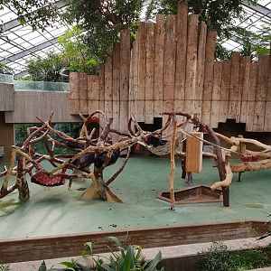 Chimpanzee exhibit indoors accommodation only