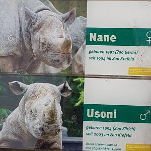 Black rhinos names