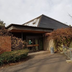 Elephant, rhinos and pygmy hippo house