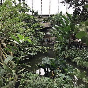 Gondwanaland 280118