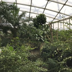 Gondwanaland 280118