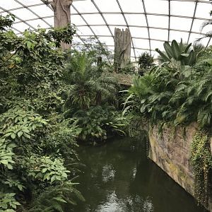 Gondwanaland 280118