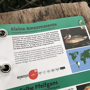 Gondwanaland - Free-roaming animal ID booklet 280118