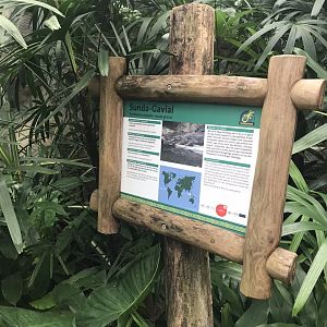 Gondwanaland - Signage example 280118