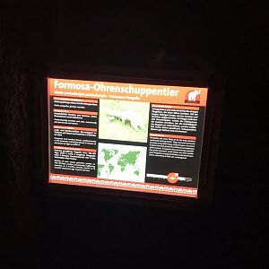 Signage for pangolin exhibit 280118