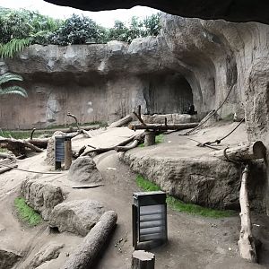 Pongoland - Chimpanzee indoor exhibit 280118