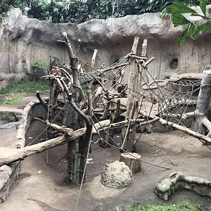 Pongoland - Sumatran orang-utan  indoor exhibit 280118