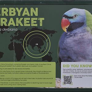 Er . . . hang on a minute . . .