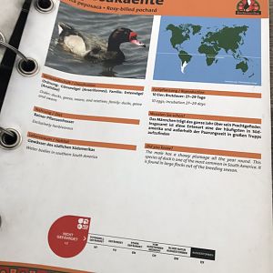 Flamingo Lagoon - ID Booklet 280118