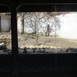 Sika Deer Exhibit Renovation